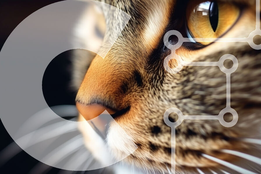 Σετ των 2 Intra Συλλεκτικό Ξύλινο Παζλ Plywood  4mm - Κοντινό πλάνο του προσώπου της γάτας με τα κίτρινα μάτια Σε Ξύλινο Κουτί - Διαστάσεις: 10x10 cm – 25 κομμάτια