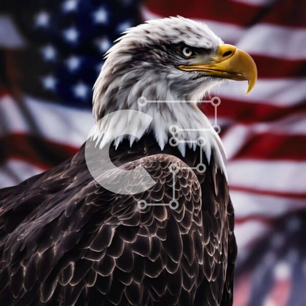 Intra Συλλεκτικό Ξύλινο Παζλ Plywood  4mm - Φαλακρός αετός και αμερικανική σημαία που αντιπροσωπεύουν τον πατριωτισμό και τη δύναμη Σε Ξύλινο Κουτί - Διαστάσεις: 10x10 cm – 25 κομμάτια