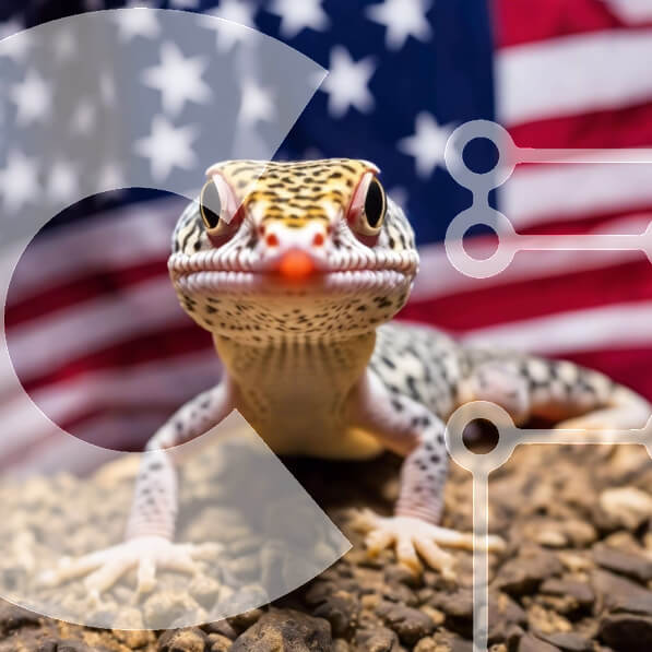 Intra Συλλεκτικό Ξύλινο Παζλ Plywood  4mm - Γκέκο μπροστά από την αμερικανική σημαία Σε Ξύλινο Κουτί - Διαστάσεις: 10x10 cm – 25 κομμάτια