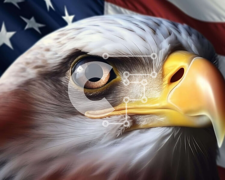 Intra Συλλεκτικό Ξύλινο Παζλ Plywood  4mm - Πατριωτικό κεφάλι αετού μπροστά από την αμερικανική σημαία Σε Ξύλινο Κουτί - Διαστάσεις: 10x10 cm – 25 κομμάτια