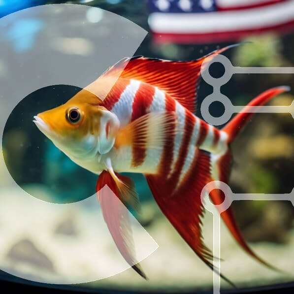 Intra Συλλεκτικό Ξύλινο Παζλ Plywood  4mm - Ζωντανά κόκκινα και άσπρα ψάρια στο ενυδρείο με φόντο αμερικανικής σημαίας Σε Ξύλινο Κουτί - Διαστάσεις: 10x10 cm – 25 κομμάτια