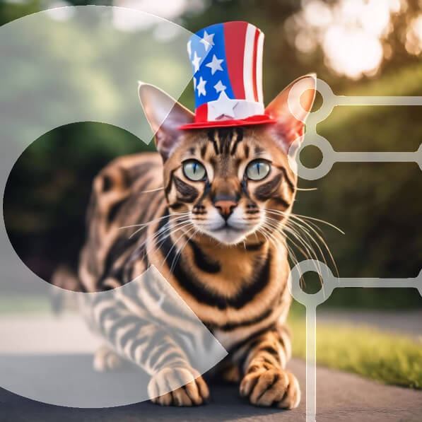 Intra Συλλεκτικό Ξύλινο Παζλ Plywood  4mm - Γάτα της Βεγγάλης με καπέλο αμερικανικής σημαίας Σε Ξύλινο Κουτί - Διαστάσεις: 10x10 cm – 25 κομμάτια