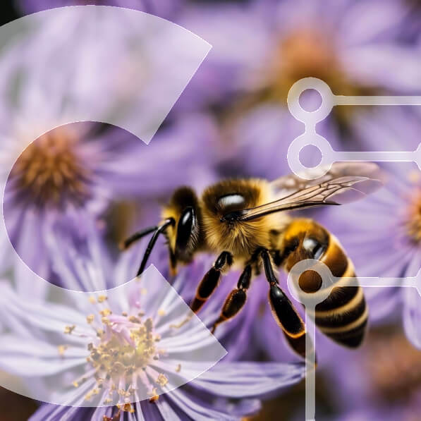 Intra Συλλεκτικό Ξύλινο Παζλ Plywood  4mm - Μέλισσα στα μωβ λουλούδια Σε Ξύλινο Κουτί - Διαστάσεις: 10x10 cm – 25 κομμάτια