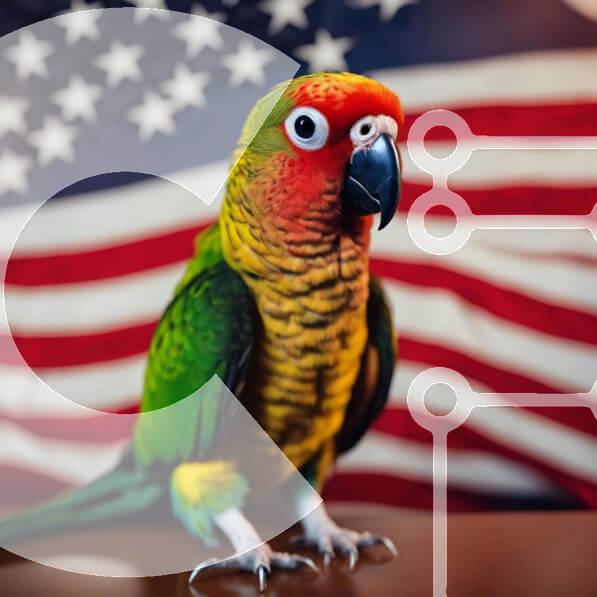 Intra Συλλεκτικό Ξύλινο Παζλ Plywood  4mm - Πολύχρωμος παπαγάλος που κάθεται μπροστά από την αμερικανική σημαία Σε Ξύλινο Κουτί - Διαστάσεις: 10x10 cm – 25 κομμάτια