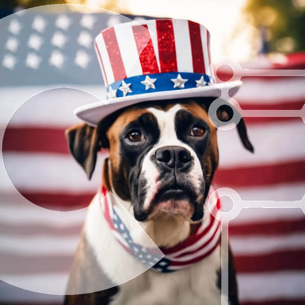 Intra Συλλεκτικό Ξύλινο Παζλ Plywood  4mm - Σκύλος μπόξερ με καπέλο αμερικανικής σημαίας μπροστά από τη σημαία των ΗΠΑ Σε Ξύλινο Κουτί - Διαστάσεις: 10x10 cm – 25 κομμάτια