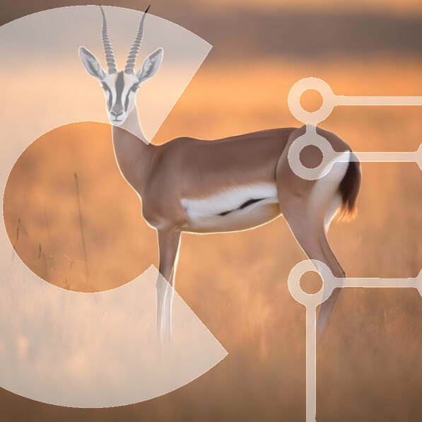 Intra Συλλεκτικό Ξύλινο Παζλ Plywood  4mm - Gazelle στο Grassy Field στο ηλιοβασίλεμα Σε Ξύλινο Κουτί - Διαστάσεις: 10x10 cm – 25 κομμάτια