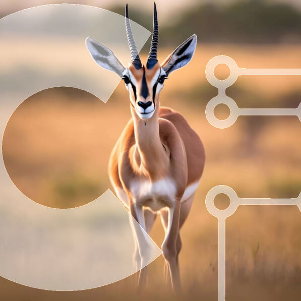 Intra Συλλεκτικό Ξύλινο Παζλ Plywood  4mm - Gazelle στο Grass Field Σε Ξύλινο Κουτί - Διαστάσεις: 10x10 cm – 25 κομμάτια