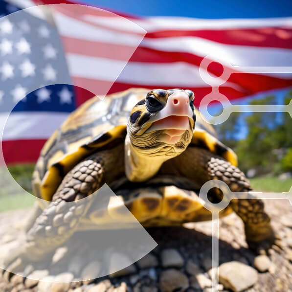Intra Συλλεκτικό Ξύλινο Παζλ Plywood  4mm - Περίεργη χελώνα μπροστά από την αμερικανική σημαία Σε Ξύλινο Κουτί - Διαστάσεις: 10x10 cm – 25 κομμάτια