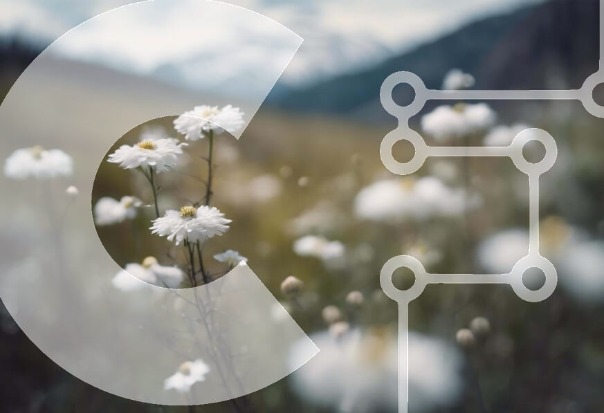 Intra Συλλεκτικό Ξύλινο Παζλ Plywood  4mm - Γραφικά λευκά λουλούδια σε ένα χορταριασμένο χωράφι με φόντο το βουνό Σε Ξύλινο Κουτί - Διαστάσεις: 10x10 cm – 25 κομμάτια