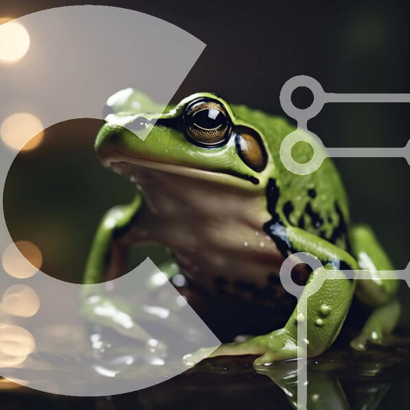 Intra Συλλεκτικό Ξύλινο Παζλ Plywood  4mm - Πράσινος βάτραχος που κάθεται στο νερό κοιτάζοντας την κάμερα Σε Ξύλινο Κουτί - Διαστάσεις: 10x10 cm – 25 κομμάτια