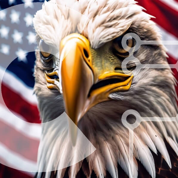 Intra Συλλεκτικό Ξύλινο Παζλ Plywood  4mm - Μεγαλοπρεπής αετός και αμερικανική σημαία κινηματογράφηση σε πρώτο πλάνο Σε Ξύλινο Κουτί - Διαστάσεις: 10x10 cm – 25 κομμάτια