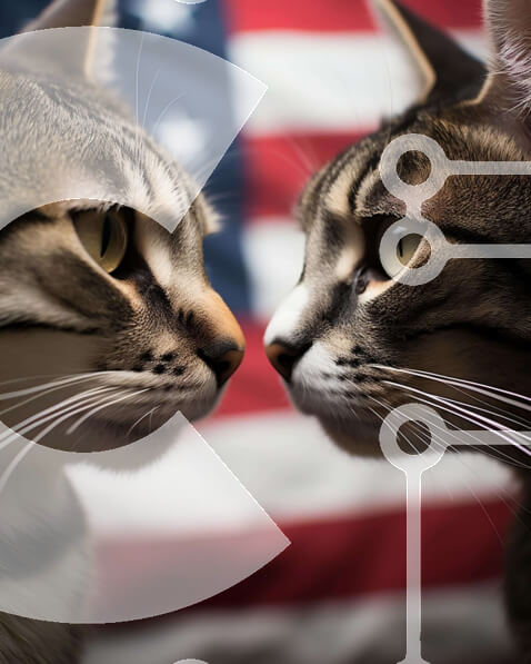 Σετ των 2 Intra Συλλεκτικό Ξύλινο Παζλ Plywood  4mm - Δύο γάτες και αμερικανική σημαία Σε Ξύλινο Κουτί - Διαστάσεις: 10x10 cm – 25 κομμάτια