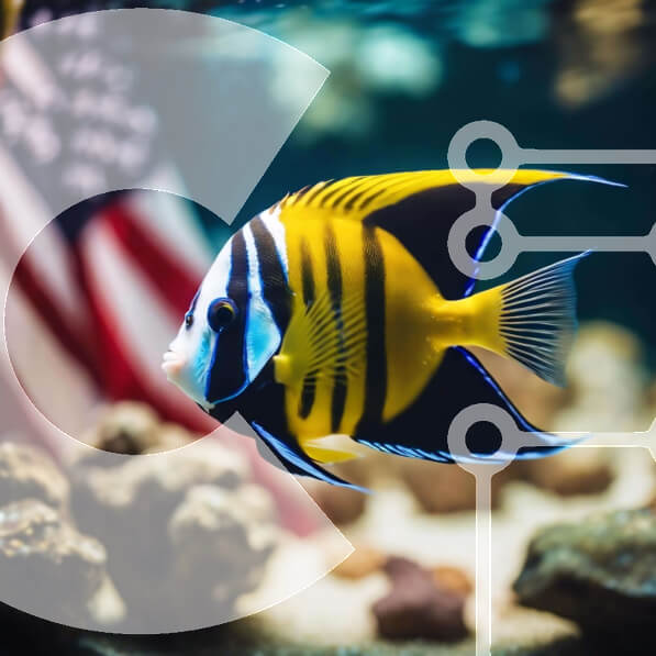 Intra Συλλεκτικό Ξύλινο Παζλ Plywood  4mm - Πολύχρωμα ψάρια στο ενυδρείο με φόντο αμερικανική σημαία Σε Ξύλινο Κουτί - Διαστάσεις: 10x10 cm – 25 κομμάτια