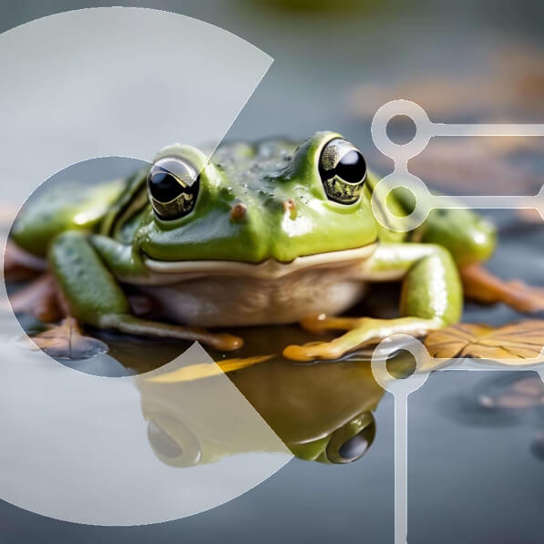 Intra Συλλεκτικό Ξύλινο Παζλ Plywood  4mm - Περίεργος πράσινος βάτραχος που κάθεται στο νερό με τα φύλλα Σε Ξύλινο Κουτί - Διαστάσεις: 10x10 cm – 25 κομμάτια