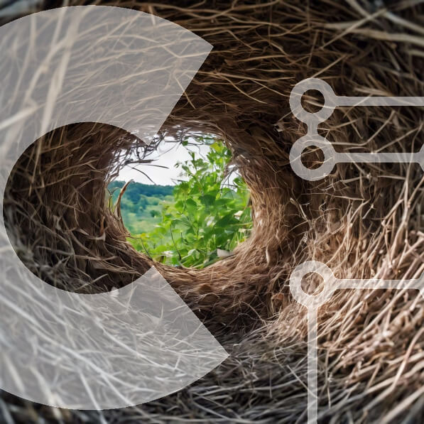 Intra Συλλεκτικό Ξύλινο Παζλ Plywood  4mm - Φωλιά πουλιών σε φυσικό βιότοπο Σε Ξύλινο Κουτί - Διαστάσεις: 10x10 cm – 25 κομμάτια