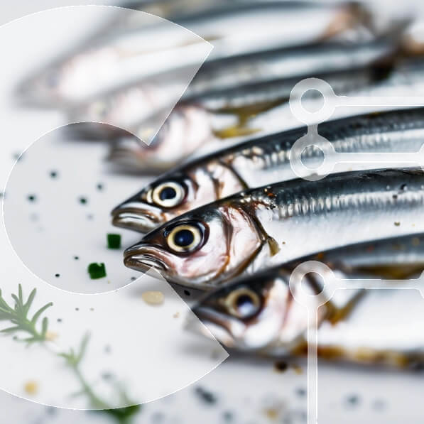 Σετ των 2 Intra Συλλεκτικό Ξύλινο Παζλ Plywood  4mm - Φρέσκες σαρδέλες σε λευκή επιφάνεια Σε Ξύλινο Κουτί - Διαστάσεις: 10x10 cm – 25 κομμάτια