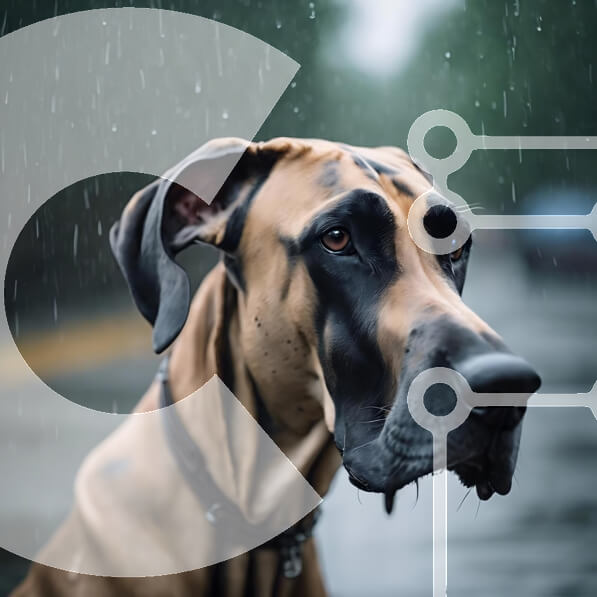 Intra Συλλεκτικό Ξύλινο Παζλ Plywood  4mm - Μεγάλο σκυλί που κάθεται στη βροχή Σε Ξύλινο Κουτί - Διαστάσεις: 10x10 cm – 25 κομμάτια