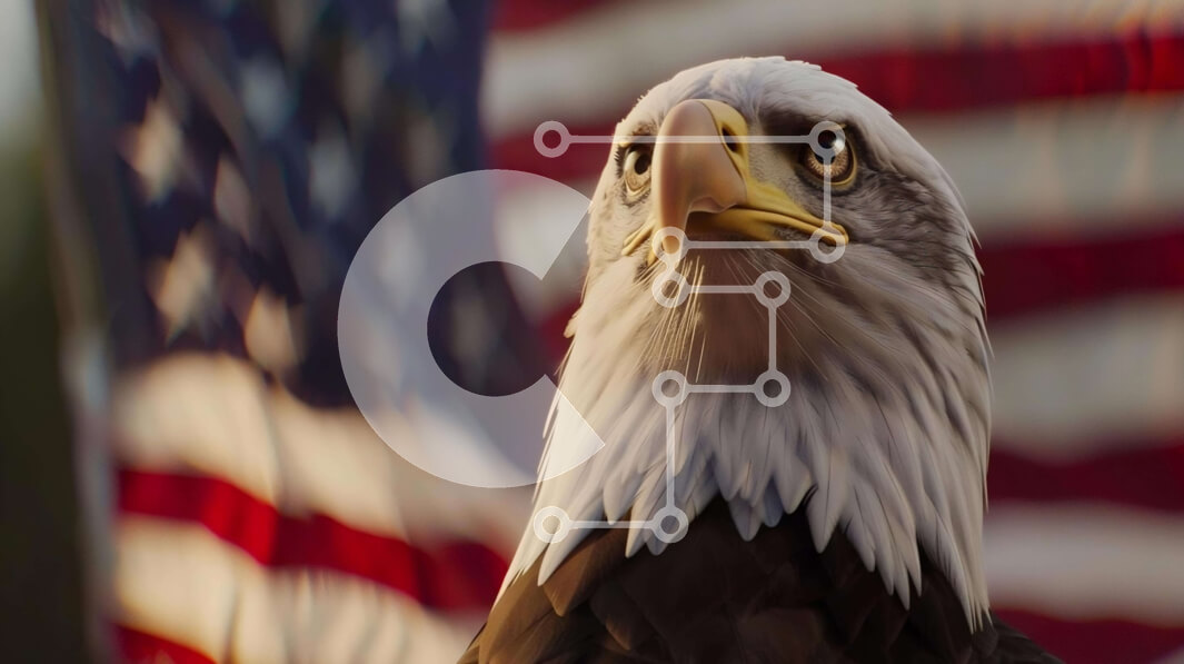 Intra Συλλεκτικό Ξύλινο Παζλ Plywood  4mm - Φαλακρός αετός και αμερικανική σημαία Σε Ξύλινο Κουτί - Διαστάσεις Puzzle: 10x10 cm – 25 κομμάτια