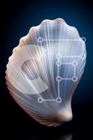 Σετ των 2 Intra Συλλεκτικό Ξύλινο Παζλ Plywood  4mm - Λευκό και μπλε κοχύλι σε σκούρο φόντο Σε Ξύλινο Κουτί - Διαστάσεις: 10x10 cm – 25 κομμάτια