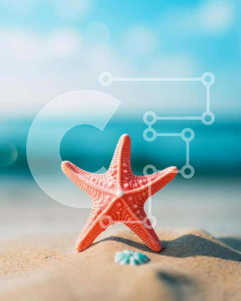 Σετ των 2 Intra Συλλεκτικό Ξύλινο Παζλ Plywood  4mm - Ροζ αστερίας στην αμμώδη παραλία Σε Ξύλινο Κουτί - Διαστάσεις: 10x10 cm – 25 κομμάτια