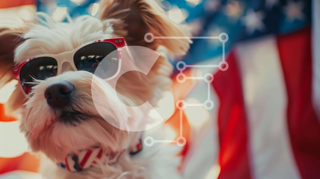 Intra Συλλεκτικό Ξύλινο Παζλ Plywood  4mm - Μικρό σκυλί με γυαλιά ηλίου μπροστά από την αμερικανική σημαία Σε Ξύλινο Κουτί - Διαστάσεις Puzzle: 10x10 cm – 25 κομμάτια