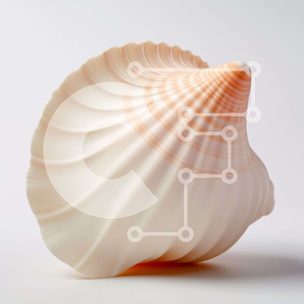 Intra Συλλεκτικό Ξύλινο Παζλ Plywood  4mm - Λευκό και Ροζ Κοχύλι Σε Ξύλινο Κουτί - Διαστάσεις: 10x10 cm – 25 κομμάτια