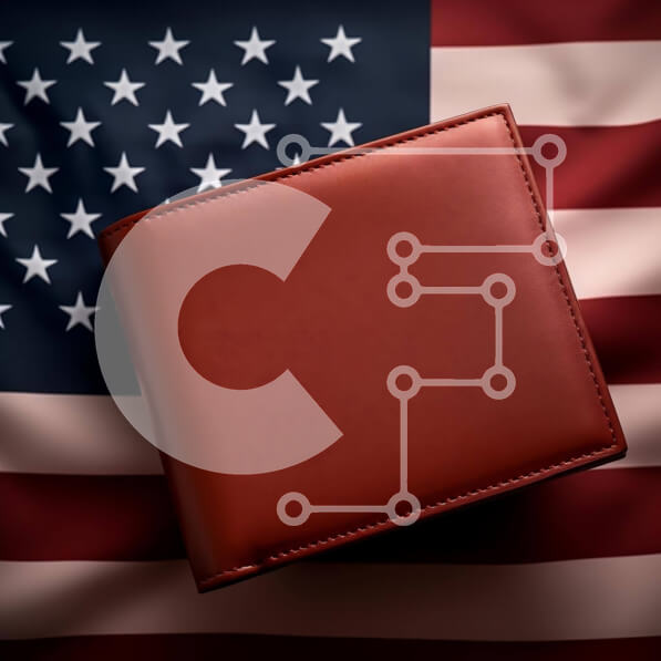 Intra Συλλεκτικό Ξύλινο Παζλ Plywood  4mm - Κόκκινο δερμάτινο πορτοφόλι σε φόντο αμερικανικής σημαίας Σε Ξύλινο Κουτί - Διαστάσεις: 10x10 cm – 25 κομμάτια