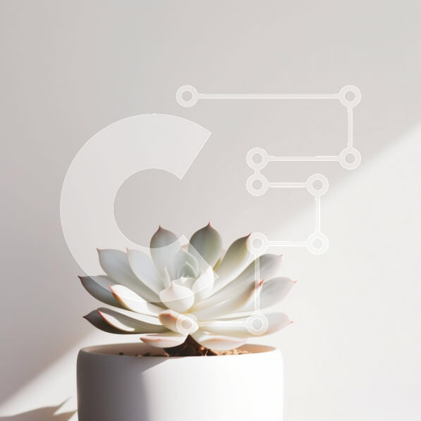 Intra Συλλεκτικό Ξύλινο Παζλ Plywood  4mm - Υγιές παχύφυτο εσωτερικού χώρου Σε Ξύλινο Κουτί - Διαστάσεις: 10x10 cm – 25 κομμάτια