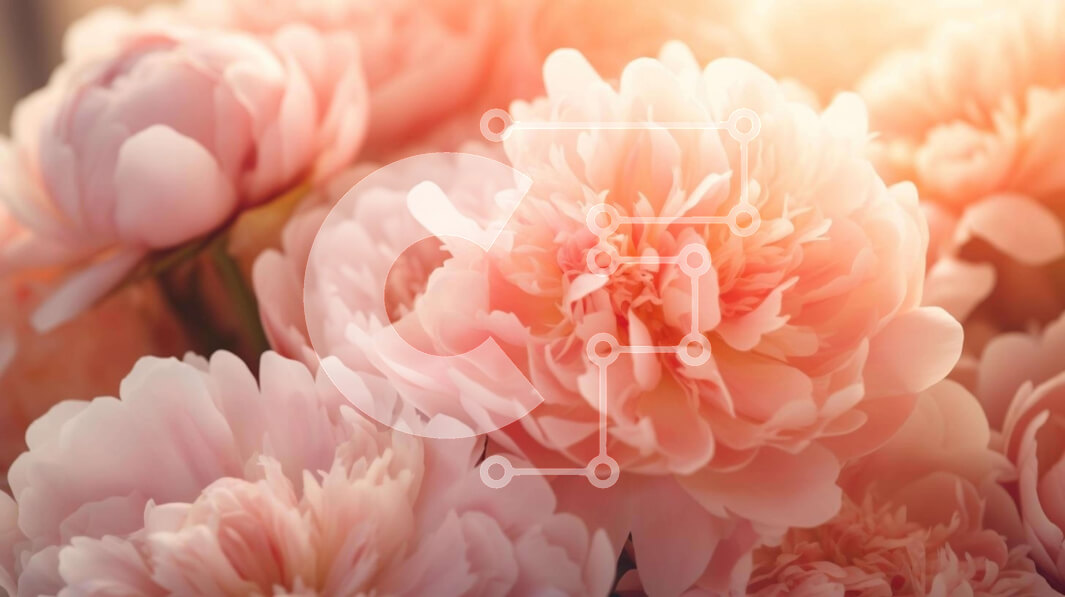 Intra Συλλεκτικό Ξύλινο Παζλ Plywood  4mm - Μπουκέτο με ροζ λουλούδια που ανθίζουν στο φως του ήλιου Σε Ξύλινο Κουτί - Διαστάσεις: 10x10 cm – 25 κομμάτια