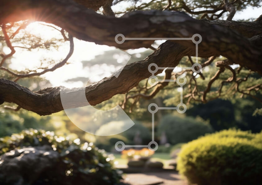 Intra Συλλεκτικό Ξύλινο Παζλ Plywood  4mm - Ηλιόλουστο κλαδί δέντρου και Ξύλινος πάγκος Σε Ξύλινο Κουτί - Διαστάσεις: 10x10 cm – 25 κομμάτια