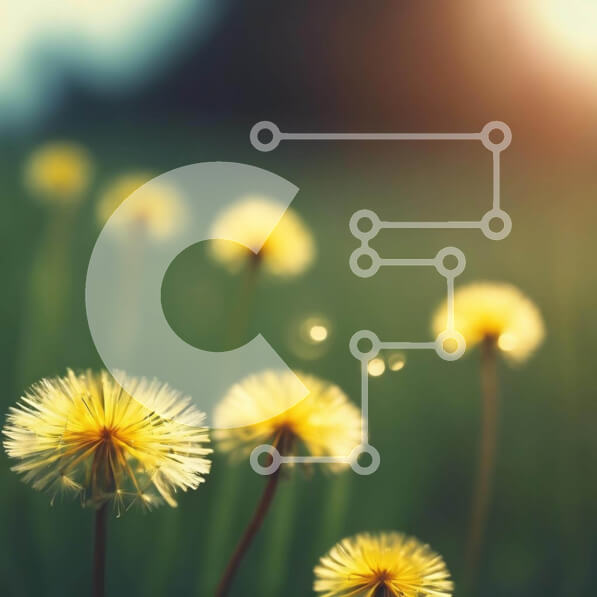 Intra Συλλεκτικό Ξύλινο Παζλ Plywood  4mm - Κίτρινες πικραλίδες στη χλόη με το φως του ήλιου Σε Ξύλινο Κουτί - Διαστάσεις: 10x10 cm – 25 κομμάτια