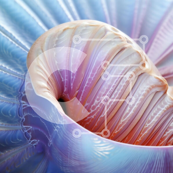 Intra Συλλεκτικό Ξύλινο Παζλ Plywood  4mm - Κοντινό πλάνο μοναδικού σχήματος μπλε και μωβ κοχύλι Σε Ξύλινο Κουτί - Διαστάσεις: 10x10 cm – 25 κομμάτια