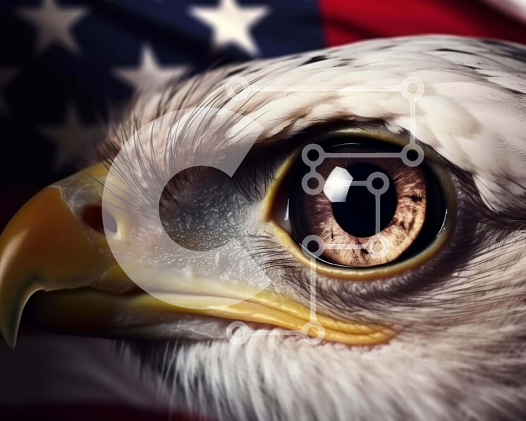 Intra Συλλεκτικό Ξύλινο Παζλ Plywood  4mm - Πρόσωπο αετού με αμερικανική σημαία σε φόντο Σε Ξύλινο Κουτί - Διαστάσεις: 10x10 cm – 25 κομμάτια