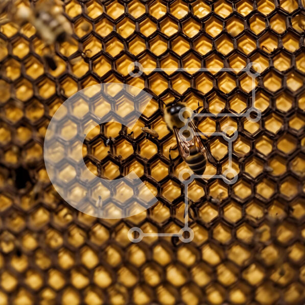 Intra Συλλεκτικό Ξύλινο Παζλ Plywood  4mm - Μέλισσες και άλλα έντομα στην κηρήθρα Σε Ξύλινο Κουτί - Διαστάσεις: 10x10 cm – 25 κομμάτια