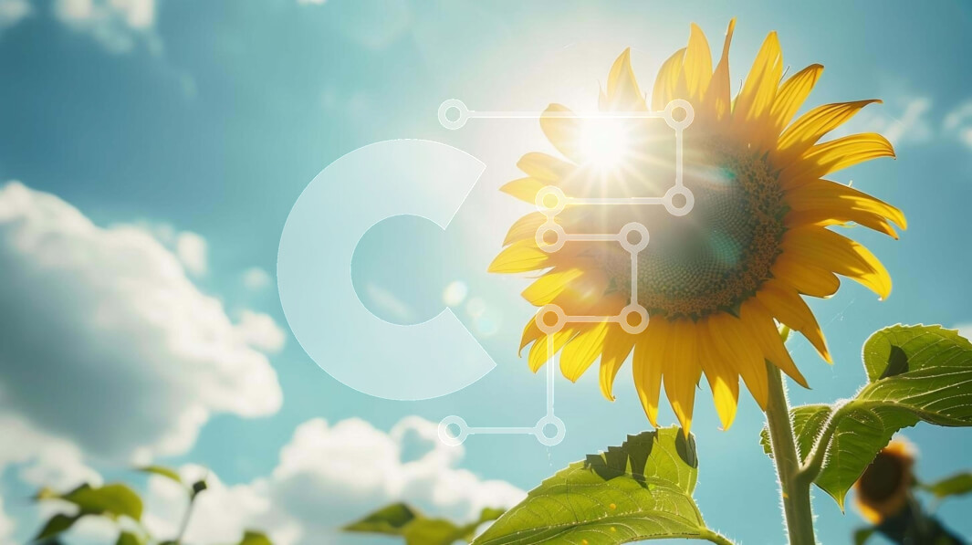 Intra Συλλεκτικό Ξύλινο Παζλ Plywood  4mm - Ηλίανθος σε ανοιχτό χωράφι με φωτεινή ηλιοφάνεια Σε Ξύλινο Κουτί - Διαστάσεις: 10x10 cm – 25 κομμάτια