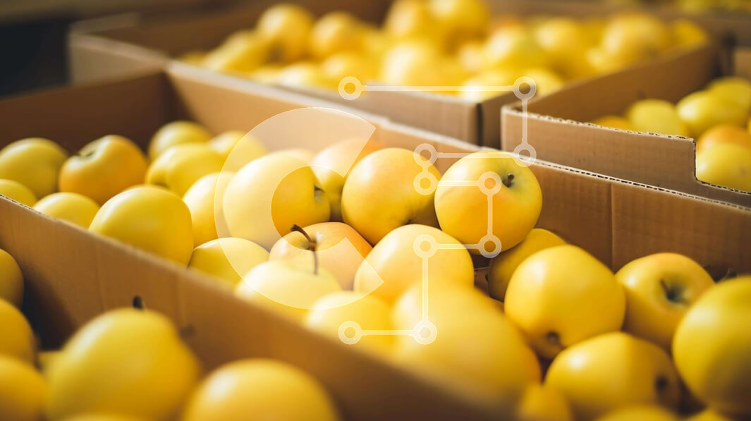 Σετ των 2 Intra Συλλεκτικό Ξύλινο Παζλ Plywood  4mm - Στοίβα από χαρτόκουτα γεμάτα με κίτρινα μήλα Σε Ξύλινο Κουτί - Διαστάσεις: 10x10 cm – 25 κομμάτια