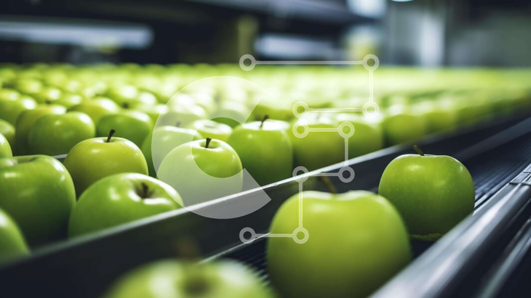 Intra Συλλεκτικό Ξύλινο Παζλ Plywood  4mm - Μεταφορική ταινία που επεξεργάζεται πράσινα μήλα σε βιομηχανικό περιβάλλον Σε Ξύλινο Κουτί - Διαστάσεις Puzzle: 10x10 cm – 25 κομμάτια