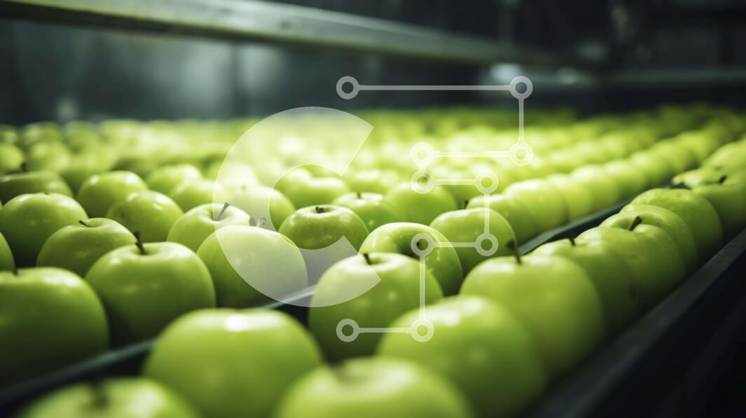 Σετ των 2 Intra Συλλεκτικό Ξύλινο Παζλ Plywood  4mm - Μεταφορική ζώνη με σειρές από πράσινα μήλα στο εργοστάσιο Σε Ξύλινο Κουτί - Διαστάσεις: 10x10 cm – 25 κομμάτια