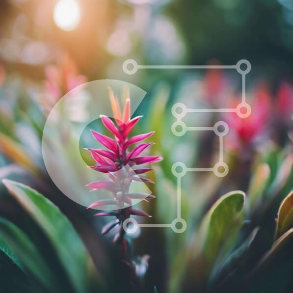 Intra Συλλεκτικό Ξύλινο Παζλ Plywood  4mm - Ροζ λουλούδι με πράσινα φύλλα Σε Ξύλινο Κουτί - Διαστάσεις: 10x10 cm – 25 κομμάτια