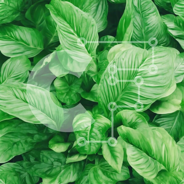 Intra Συλλεκτικό Ξύλινο Παζλ Plywood  4mm - Κοντινό πλάνο του φυτού πράσινου βασιλικού Σε Ξύλινο Κουτί - Διαστάσεις: 10x10 cm – 25 κομμάτια