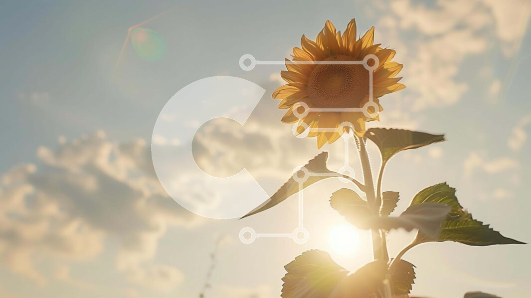 Intra Συλλεκτικό Ξύλινο Παζλ Plywood  4mm - Ενιαίος ηλίανθος με φόντο ηλιοβασίλεμα Σε Ξύλινο Κουτί - Διαστάσεις: 10x10 cm – 25 κομμάτια