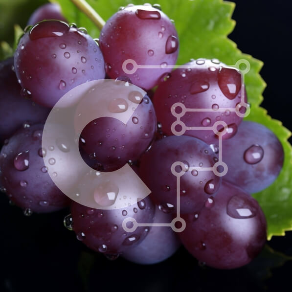 Intra Συλλεκτικό Ξύλινο Παζλ Plywood  4mm - Φρέσκα μωβ σταφύλια με σταγονίδια νερού Σε Ξύλινο Κουτί - Διαστάσεις: 10x10 cm – 25 κομμάτια