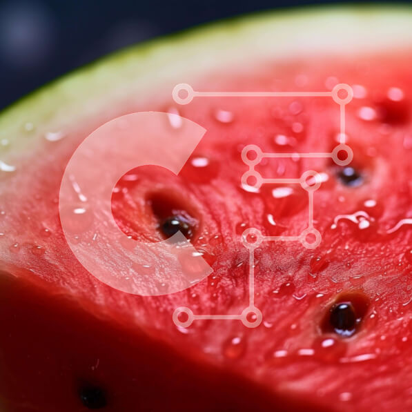 Σετ των 2 Intra Συλλεκτικό Ξύλινο Παζλ Plywood  4mm - Φρέσκια και ζουμερή φέτα καρπούζι με σταγόνες νερού Σε Ξύλινο Κουτί - Διαστάσεις: 10x10 cm – 25 κομμάτια