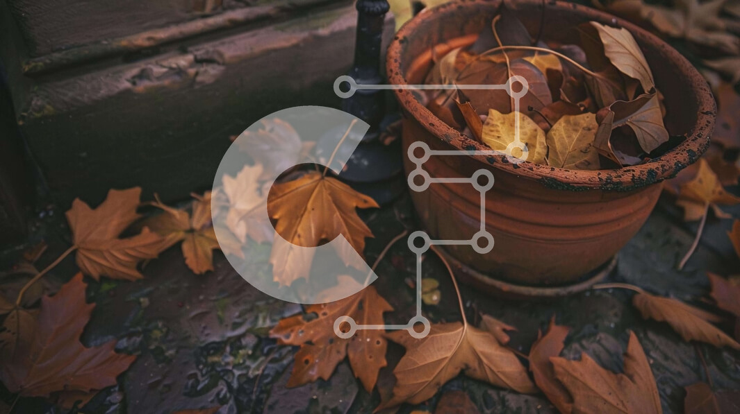 Intra Συλλεκτικό Ξύλινο Παζλ Plywood  4mm - Φθινοπωρινά φύλλα και σκηνή φυτών σε γλάστρες Σε Ξύλινο Κουτί - Διαστάσεις: 10x10 cm – 25 κομμάτια