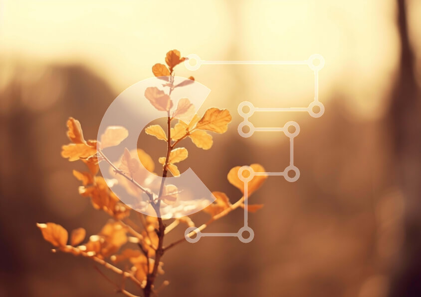 Intra Συλλεκτικό Ξύλινο Παζλ Plywood  4mm - Φυτό με κίτρινα φύλλα στο δάσος Σε Ξύλινο Κουτί - Διαστάσεις: 10x10 cm – 25 κομμάτια