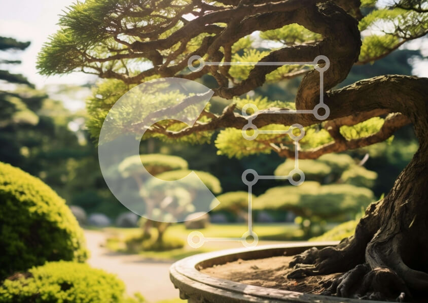 Intra Συλλεκτικό Ξύλινο Παζλ Plywood  4mm - Μεγάλο δέντρο μπονσάι στον υπαίθριο κήπο Σε Ξύλινο Κουτί - Διαστάσεις: 10x10 cm – 25 κομμάτια