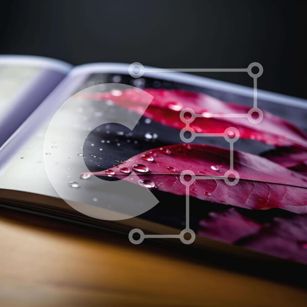 Intra Συλλεκτικό Ξύλινο Παζλ Plywood  4mm - Ανοιχτό βιβλίο με κόκκινα φύλλα και σταγόνες νερού Σε Ξύλινο Κουτί - Διαστάσεις: 10x10 cm – 25 κομμάτια