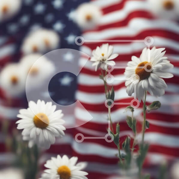 Intra Συλλεκτικό Ξύλινο Παζλ Plywood  4mm - Λευκές μαργαρίτες μπροστά από την αμερικανική σημαία Σε Ξύλινο Κουτί - Διαστάσεις Puzzle: 10x10 cm – 25 κομμάτια