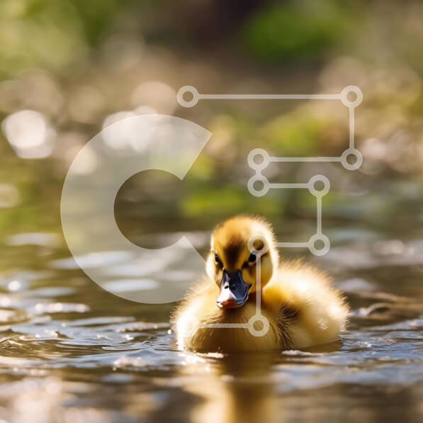 Intra Συλλεκτικό Ξύλινο Παζλ Plywood  4mm - Μικρή κίτρινη πάπια που κολυμπά στο νερό Σε Ξύλινο Κουτί - Διαστάσεις: 10x10 cm – 25 κομμάτια