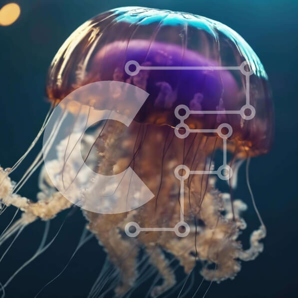 Intra Συλλεκτικό Ξύλινο Παζλ Plywood  4mm - Διάφανη μέδουσα με εκτεταμένα πλοκάμια στο νερό Σε Ξύλινο Κουτί - Διαστάσεις: 10x10 cm – 25 κομμάτια